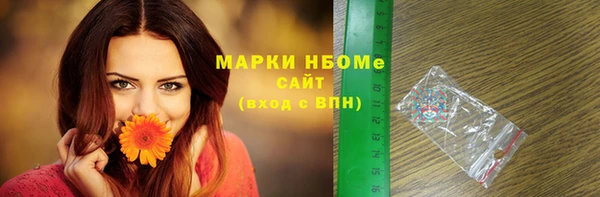 гашик Чердынь