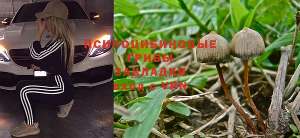 МДПВ Мегион
