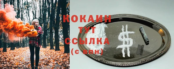 прущий лед Козельск