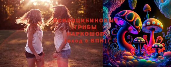 амфетамин Козловка