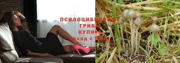 прущий лед Козельск