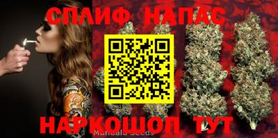 ГАЛЛЮЦИНОГЕННЫЕ ГРИБЫ Бийск